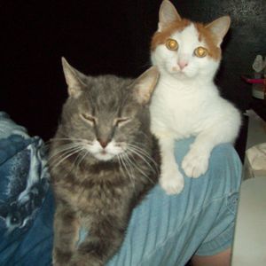 Meet your Posher, Rita